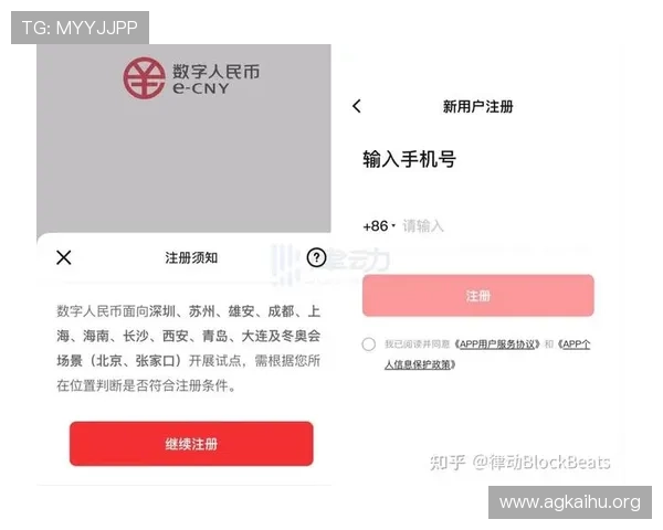 深入分析ag捕鱼王技巧帮助玩家提高捕鱼效率的实用技巧与操作指南