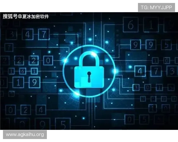 欧博真人官网如何保障玩家资金安全与隐私保护的详细措施揭秘