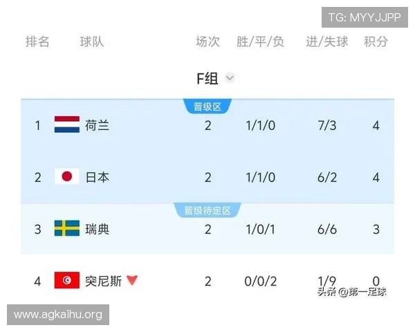 2026年世界杯突尼斯VS荷兰比赛潜在风险因素及应对策略详解